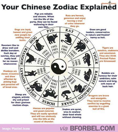 What Your Chinese Zodiac Sign Says About You… | Chinese ...
