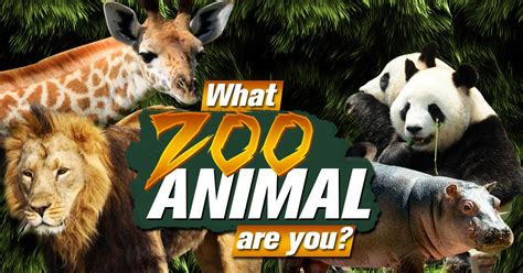 What Zoo Animal Are You? | BrainFall