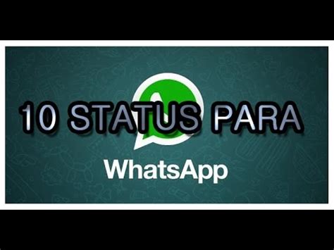 Whatsapp   10 STATUS E FRASES PARA SEU DIA   YouTube