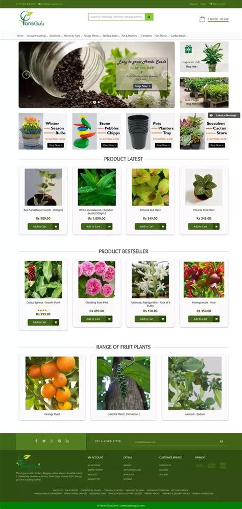 Where can I buy plants online in India?   Quora