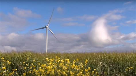 Which are the benefits of wind energy? | ACCIONA