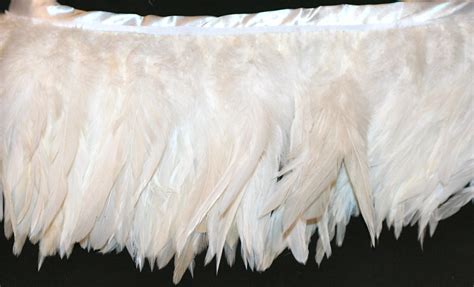 white feather fringe