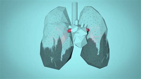 WHO: Breathe Life   How air pollution impacts your body ...