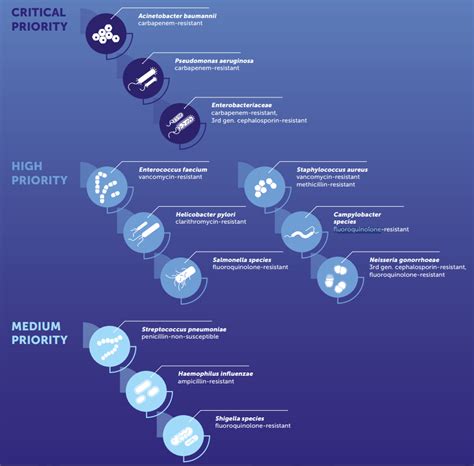 WHO: List of antibiotic resistant “priority pathogens” – Microbe Online