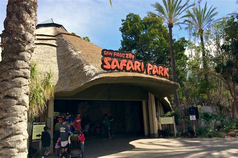 Why Animal Lovers Love the San Diego Zoo Safari Park ...