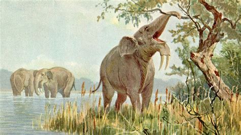 Why did the representatives of the ancient African megafauna disappear