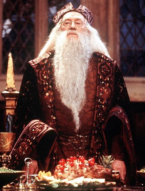 Why Ian McKellen Passed On Harry Potter s Dumbledore   Us ...