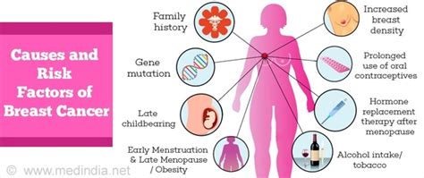 Why is breast cancer the most common cancer in women?   Quora