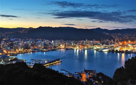 Why I’m Obsessed With Wellington, And You Should Be Too