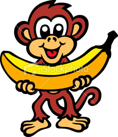 Why monkeys like eating bananas? | Factsbehind