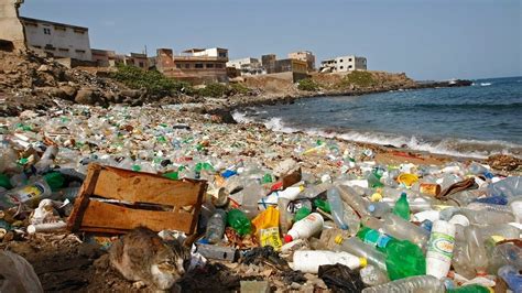 Wie Plastikmüll Umwelt & Natur zerstört | Plastikmüll im ...