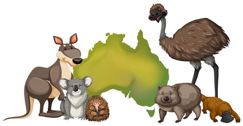 Wild animals in Australia 372348 Vector Art at Vecteezy