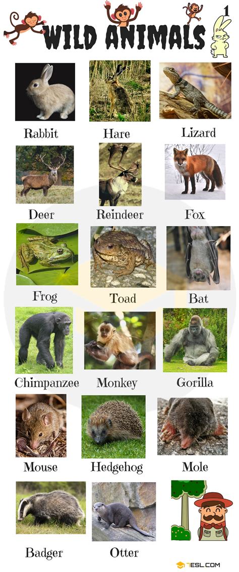 Wild Animals: List of Wild Animal Names in English with Images • 7ESL