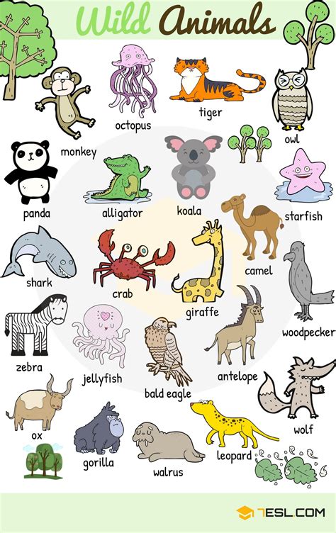 Wild Animals: List of Wild Animal Names in English with Images • 7ESL ...