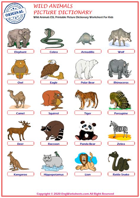 Wild Animals Printable English ESL Vocabulary Worksheets   EngWorksheets