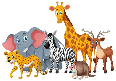 Wild animals together in group   Download Free Vectors ...