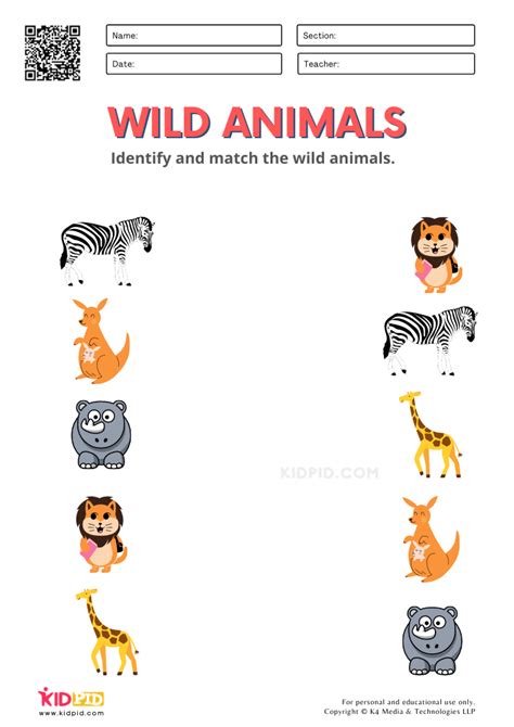 Wild Animals Worksheets for Kindergarten   Kidpid