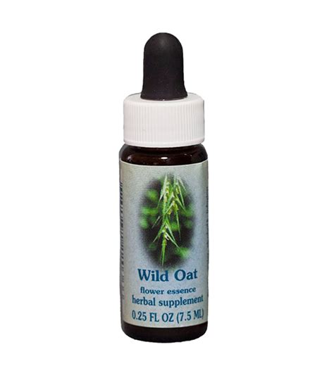 Wild Oat, Flower Essence, Healing Herbs   Self Heal ...