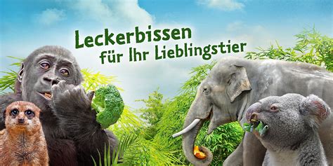 Willkommen im Zoo Leipzig | Der Natur auf der Spur.