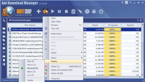 Windows   Descargar Ant Download Manager Pro v1.19.1 Build ...