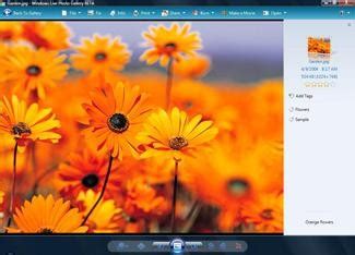 Windows Live Photo Gallery   Descargar Gratis