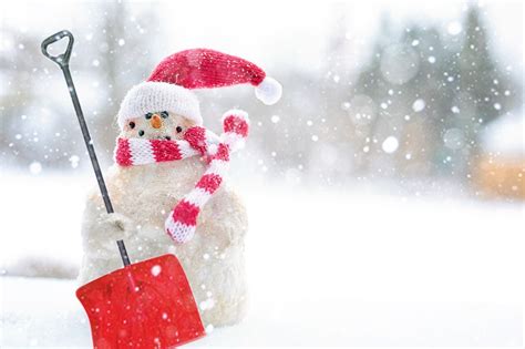 Winter Christmas Snow · Free photo on Pixabay