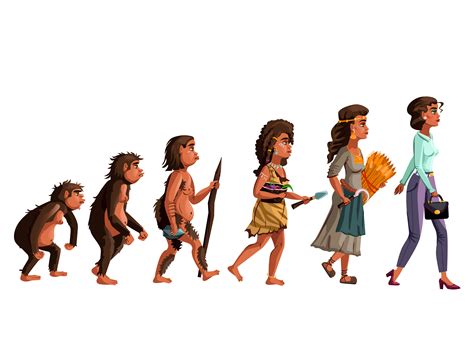 Woman evolution vector cartoon illustration   Download ...