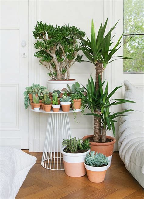Wonderful Ways to Display Indoor Plants – The Owner ...