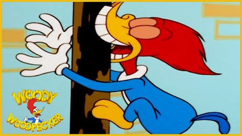 Woody Woodpecker Show | He Wouldn t Woody | Full Episode ...