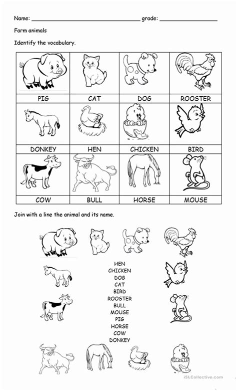 Worksheets for Kindergarten On Domestic Animals – Servicenumber.org