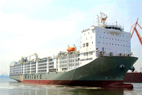 World s largest livestock carrier | Ships Monthly
