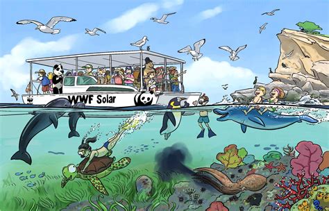 WWF Solar se sumerge en Motril para descubrir la riqueza ...