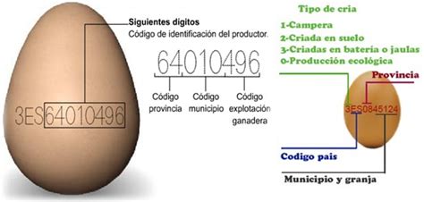 XanaNatura: Clasificación y procedencia de los huevos de gallina, Categoría