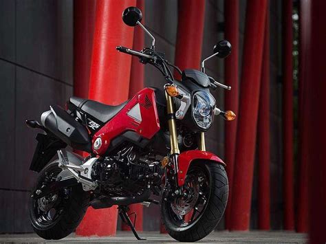 Ya está a la venta la Honda MSX125: una pequeña gran moto | SoyMotero.net