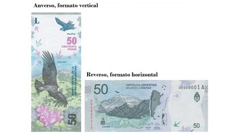 Ya está en circulación el nuevo billete de $50 con la imagen del cóndor ...