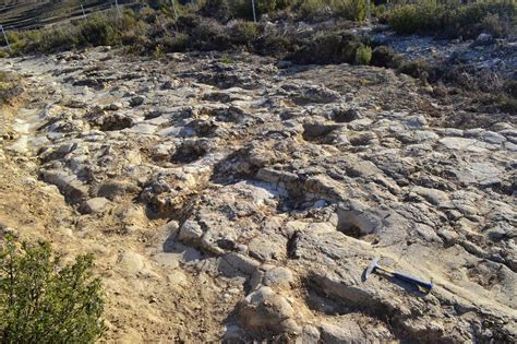 Yacimiento de icnitas de dinosaurios cretácicos en Obón ...