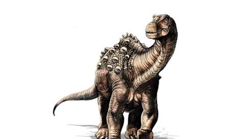 Yamanasaurus lojaensis, el primer dinosaurio descubierto ...