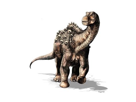 Yamanasaurus lojaensis, el primer dinosaurio descubierto ...