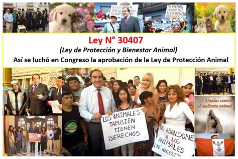 Yonhy Lescano: CON LEY DE PROTECCIÓN Y BIENESTAR ANIMAL SE SANCIONARÁ ...