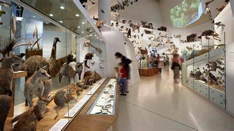 You Can Now Explore the Melbourne Museum, Immigration Museum and ...