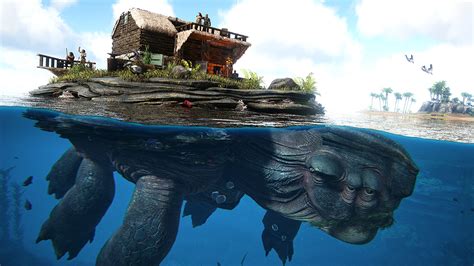 You can tame a giant sea turtle and build a house on its ...