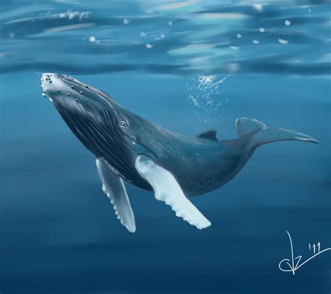 Yubarta Whale by Cavriz on DeviantArt