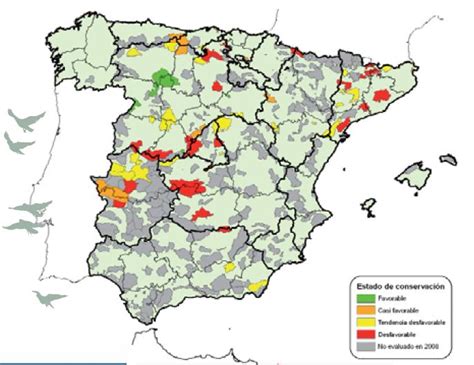 Zarpazo a las ZEPA en Castilla La Mancha   Naturaleza y Medio Ambiente