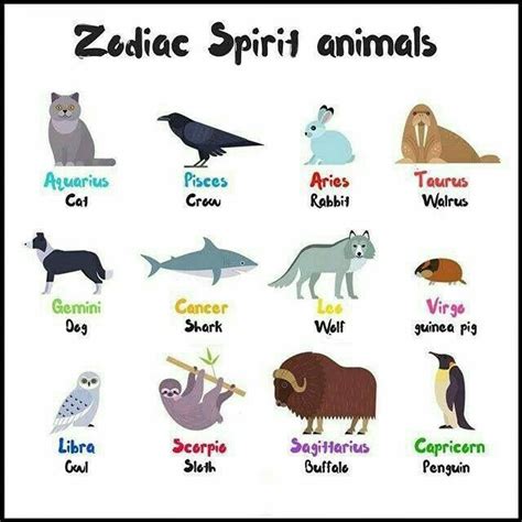 Zodiac spirit animal | Zodiac signs animals, Zodiac, Dog zodiac