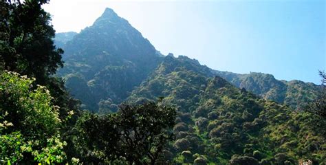 Zona Reservada Bosque de Zárate, Área Natural del Perú