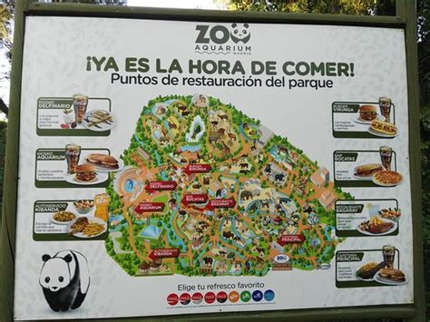 Zoo Acuario De Madrid   SEO POSITIVO