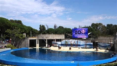 Zoo Acuario De Madrid   SEONegativo.com