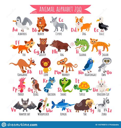 Zoo Alphabet. A Z Animal Alphabet. Vector Poster. Stock Vector ...