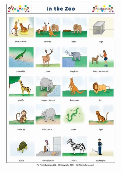 Zoo Animal Flash Cards for Kids and Toddlers