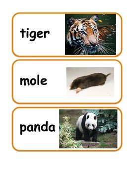 Zoo Animal Vocabulary / Word Wall Cards by Gimmekiss | TpT